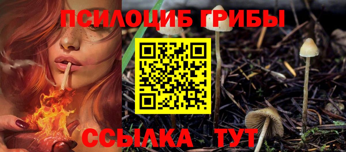Псилоцибиновые грибы Cubensis Воткинск